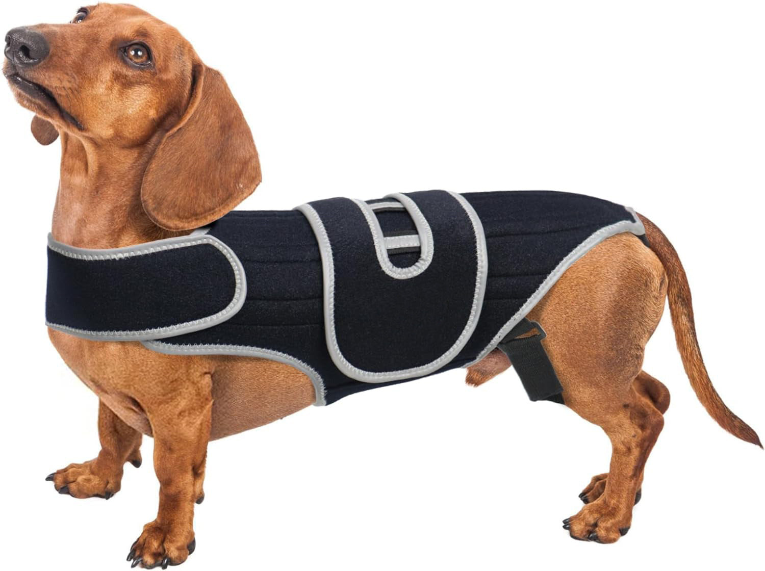 Dog Back Support Vest for Disc Disease & Spinal Injury - Protective Recovery Gear for IVDD, Pain Relief