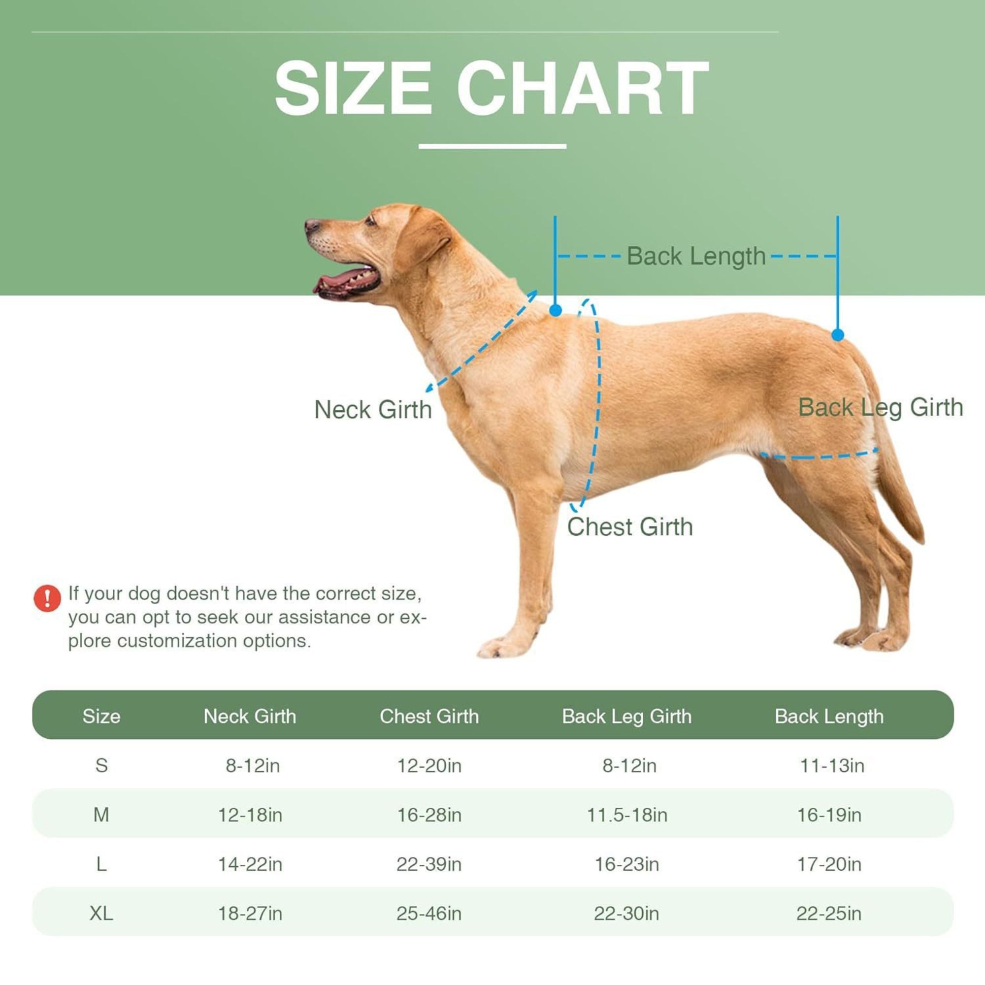 Dog Back Support Vest for Disc Disease & Spinal Injury - Protective Recovery Gear for IVDD, Pain Relief