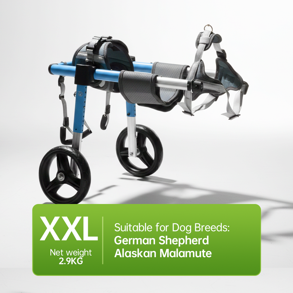 Dog Wheelchair for Hind Leg Paralysis - Adjustable Rear & Full Body Support for Disabled, Elderly & Injured Dogs