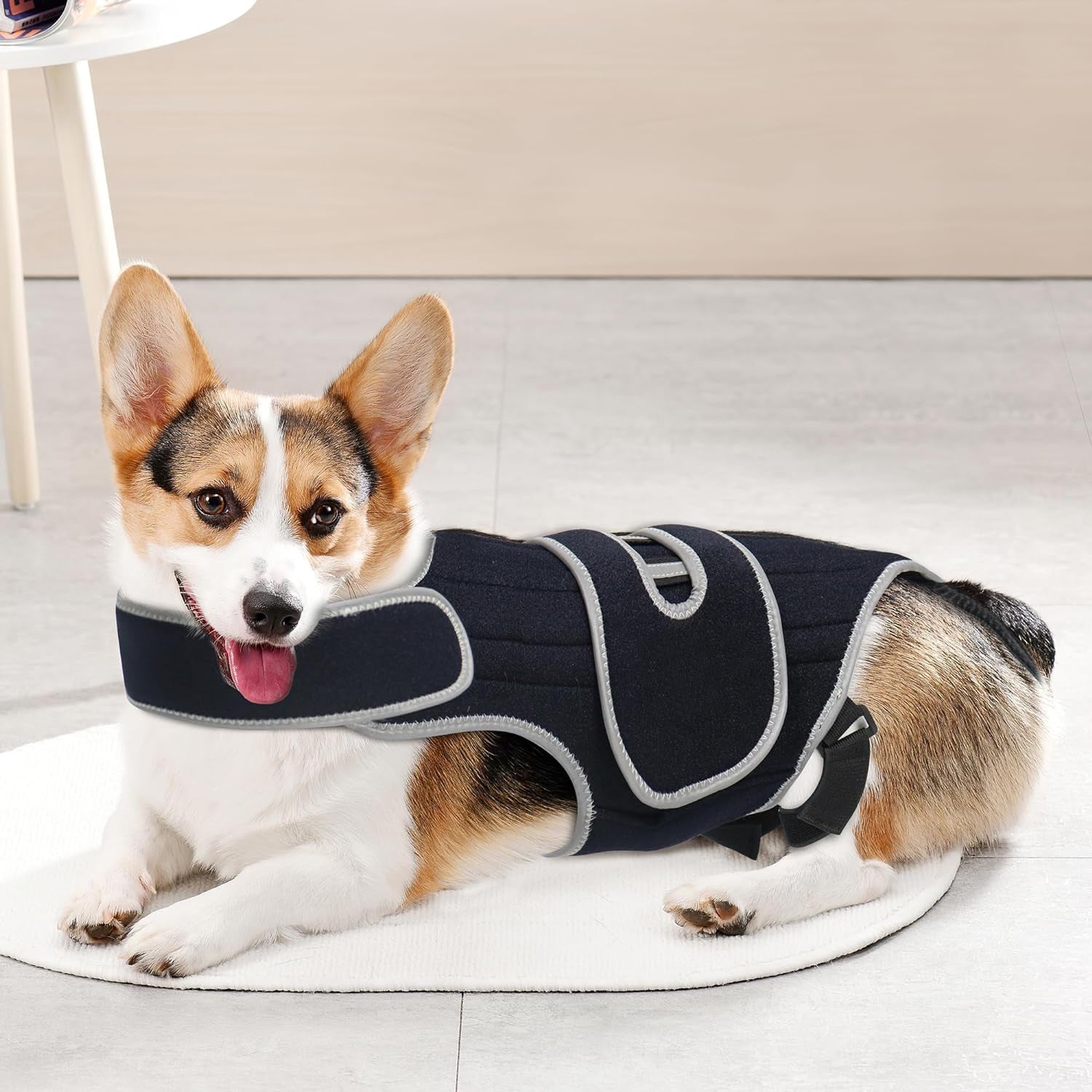 Dog Back Support Vest for Disc Disease & Spinal Injury - Protective Recovery Gear for IVDD, Pain Relief