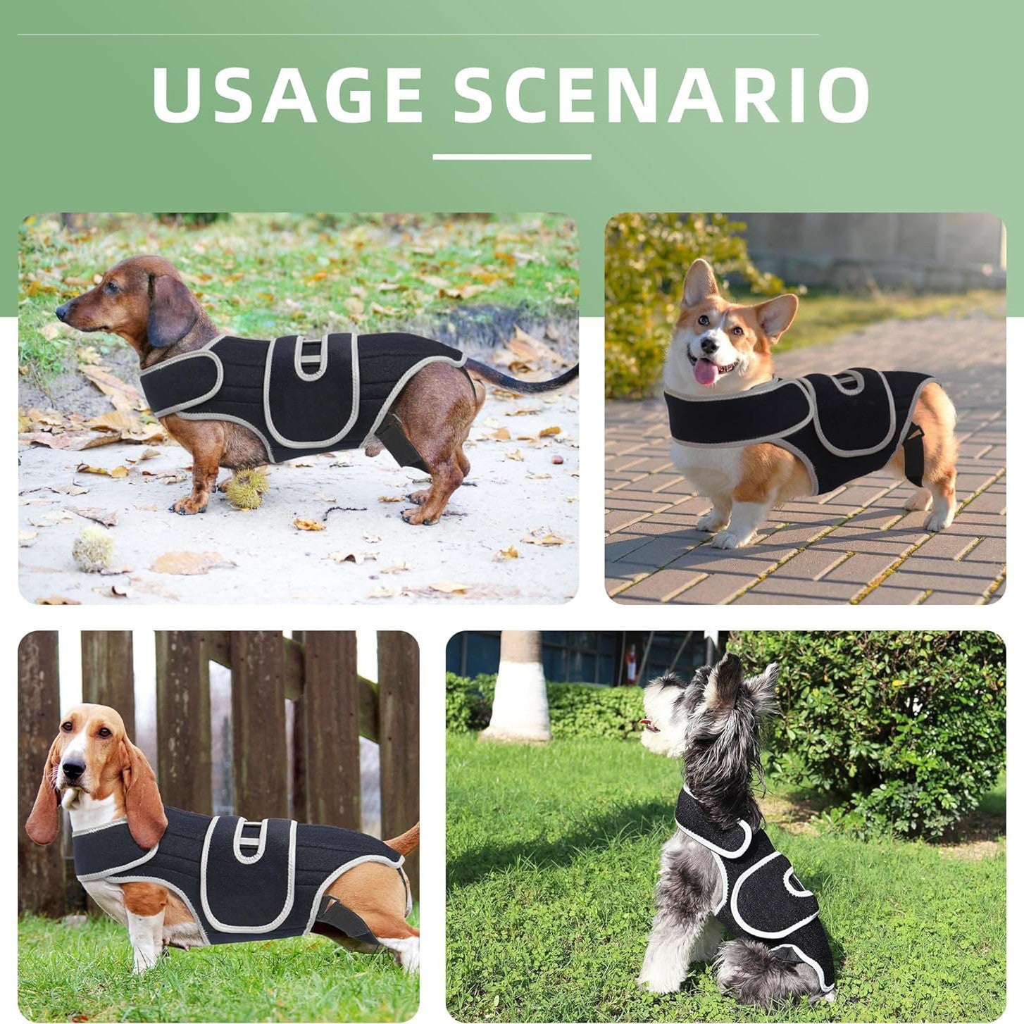 Dog Back Support Vest for Disc Disease & Spinal Injury - Protective Recovery Gear for IVDD, Pain Relief