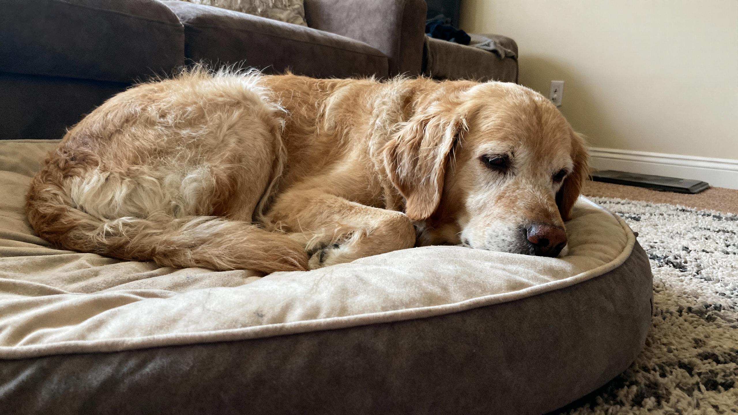 When Loving Them Means Letting Go of How Things Used to Be