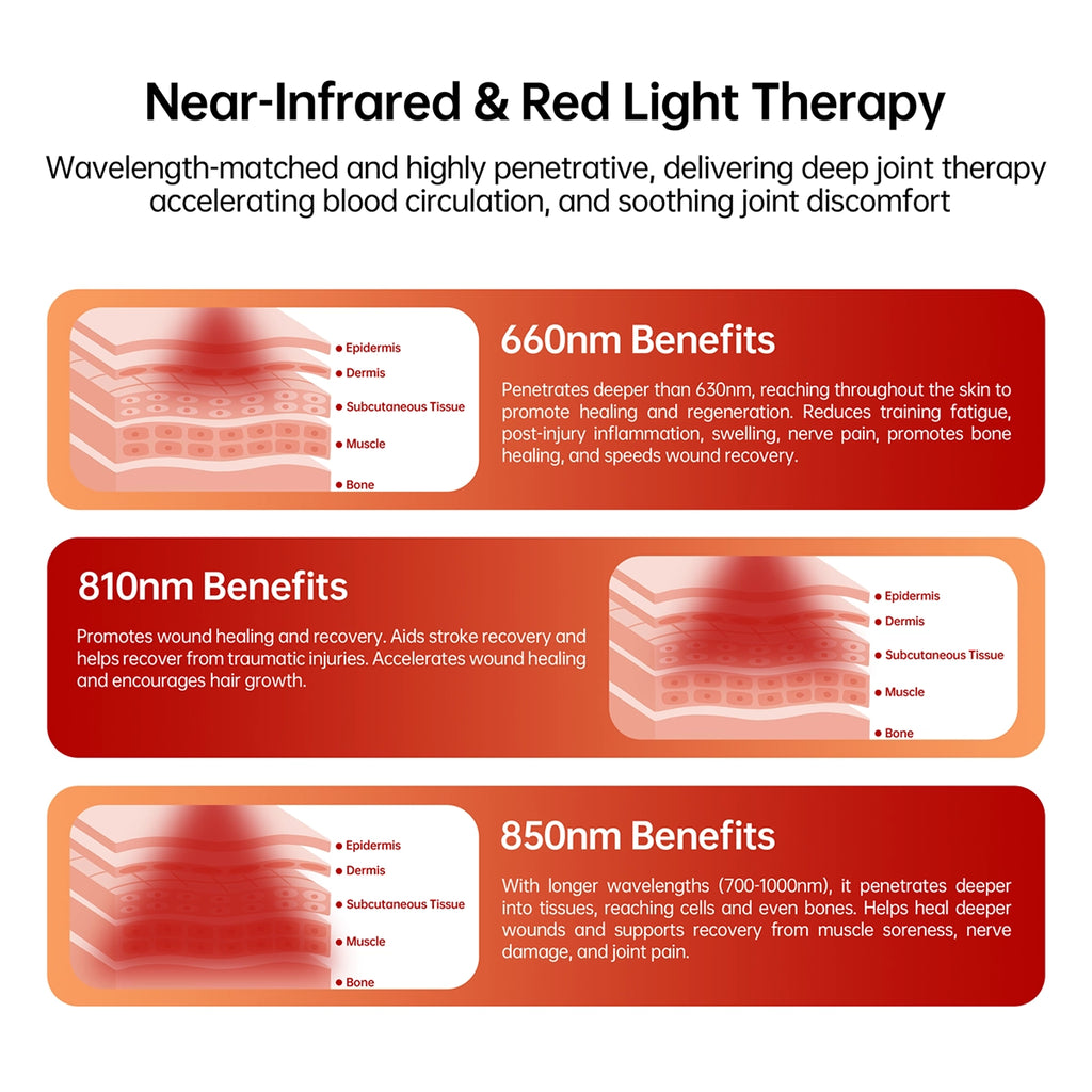 Magnetic Pet Red Light Device | Targeted Comfort & Relaxation