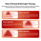 Magnetic Pet Red Light Device | Targeted Comfort & Relaxation