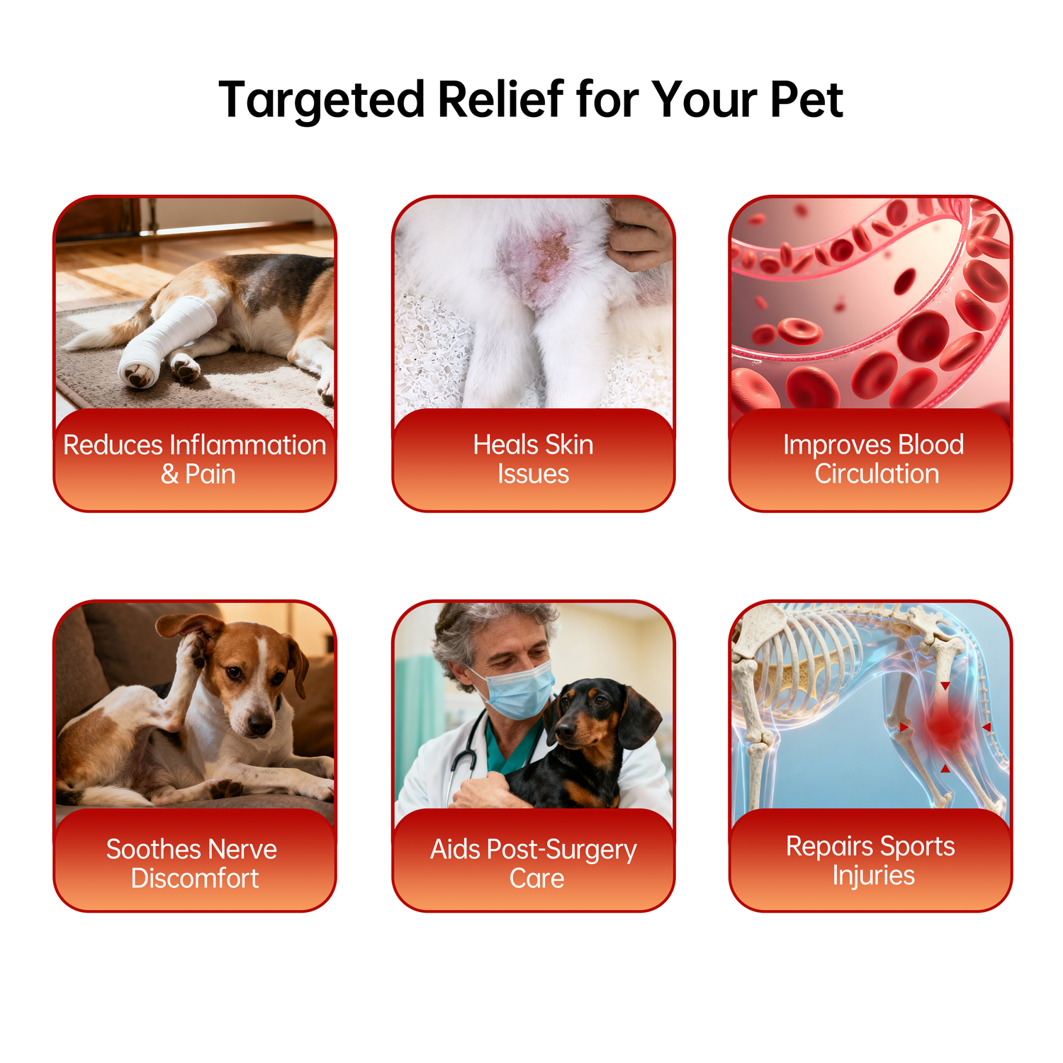 Rechargeable Pet Red Light Therapy Device - For Arthritis & Pain Relief in Dogs & Cats