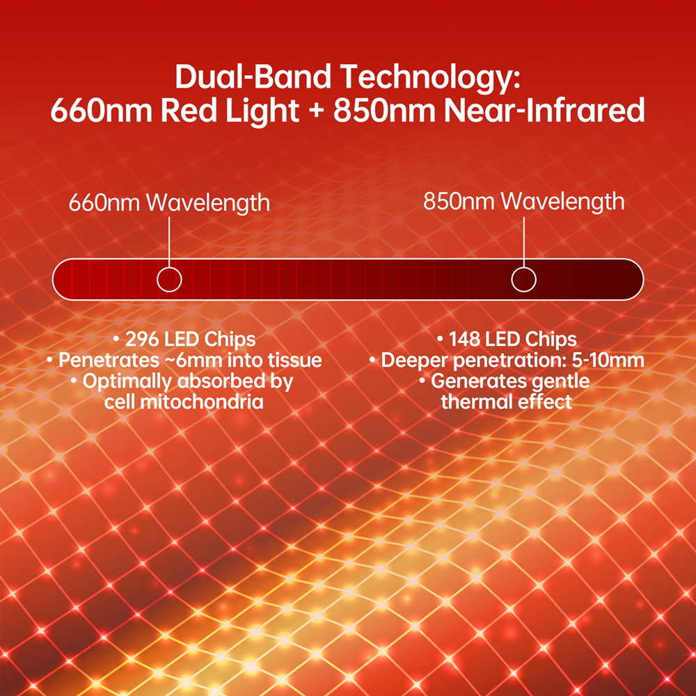 Rechargeable Pet Red Light Therapy Device - For Arthritis & Pain Relief in Dogs & Cats