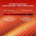Magnetic Pet Red Light Device | Targeted Comfort & Relaxation
