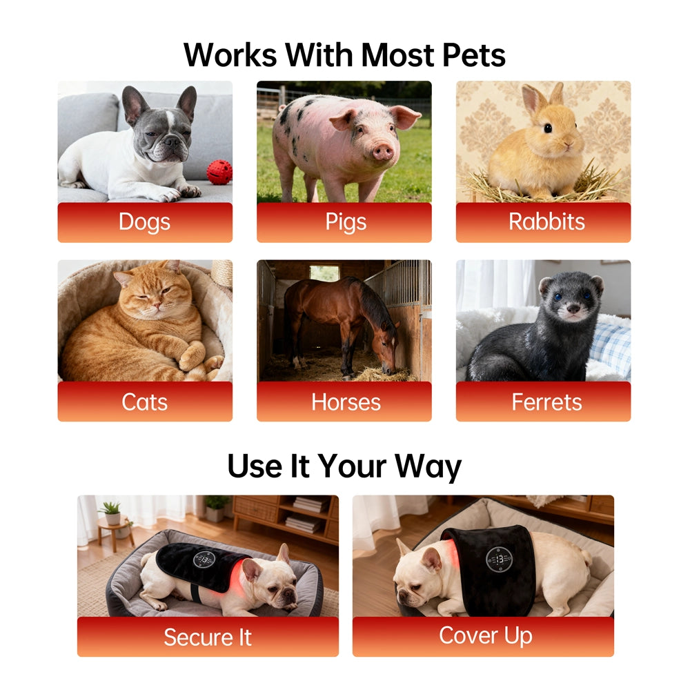 Magnetic Pet Red Light Device | Targeted Comfort & Relaxation
