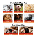 Magnetic Pet Red Light Device | Targeted Comfort & Relaxation