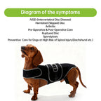Dog Back Support Vest for Mobility & Comfort