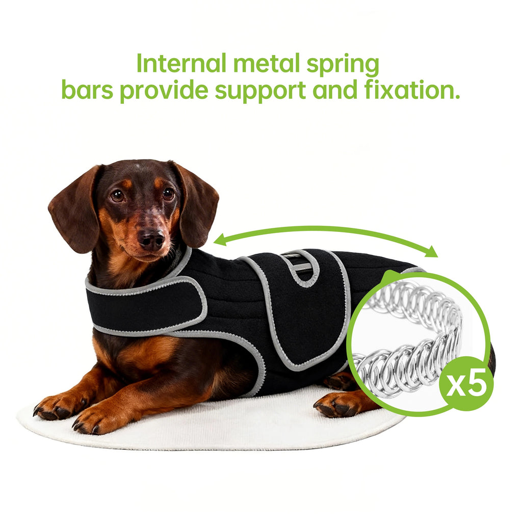 Dog Back Support Vest for Mobility & Comfort