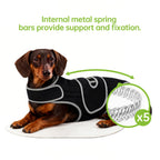 Dog Back Support Vest for Mobility & Comfort