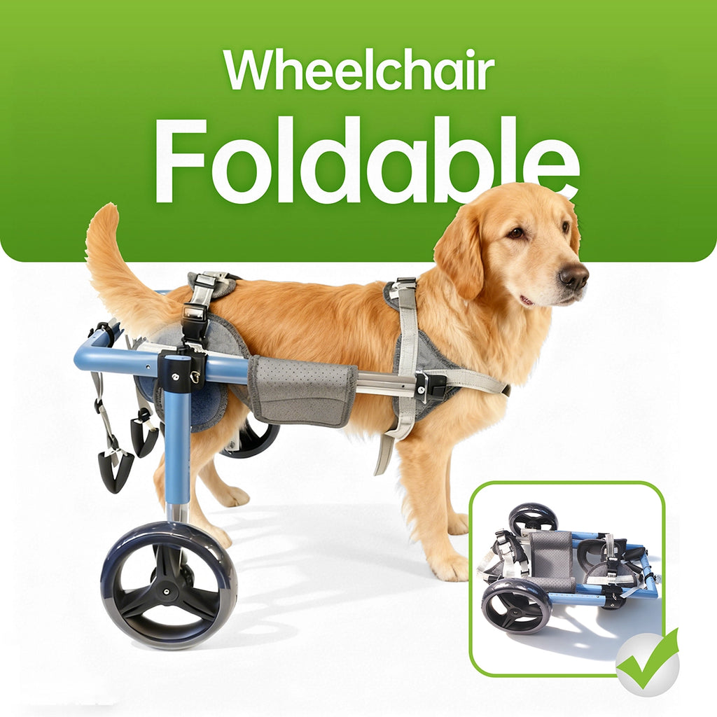 Large Foldable Dog Wheelchair for Rear & Full Body Support