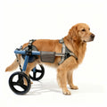 Large Foldable Dog Wheelchair | Adjustable Rear Leg Support