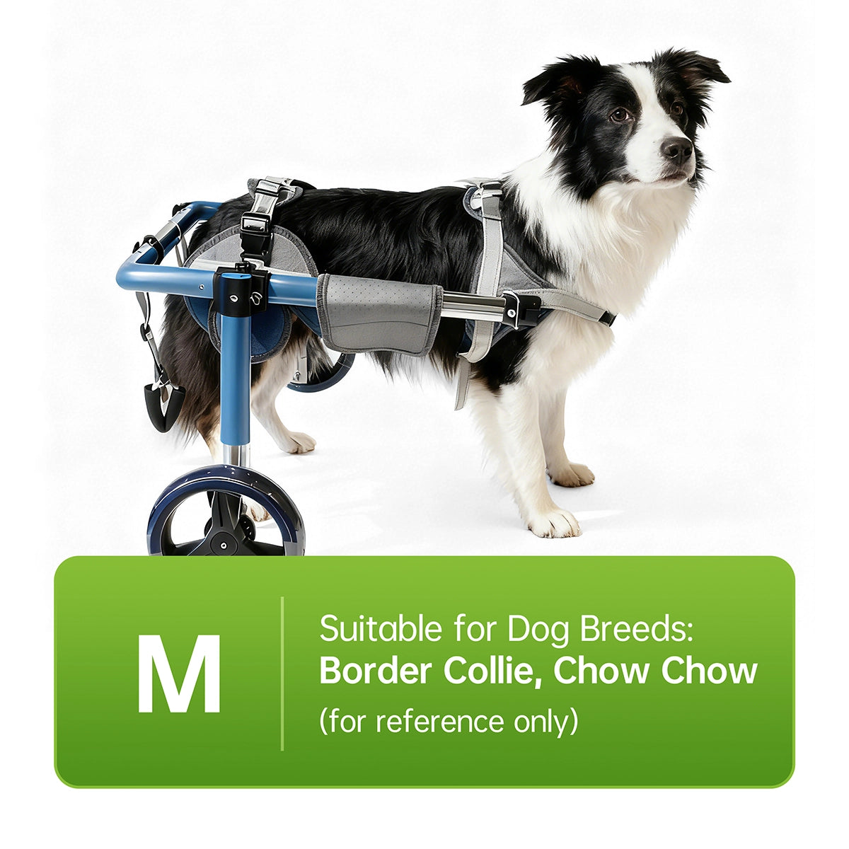 Large Foldable Dog Wheelchair for Rear & Full Body Support