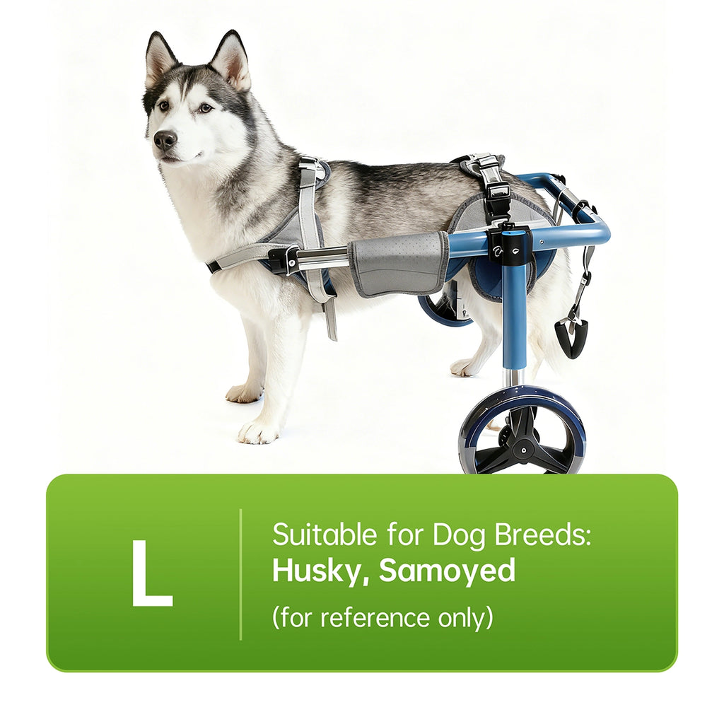 Large Foldable Dog Wheelchair for Rear & Full Body Support