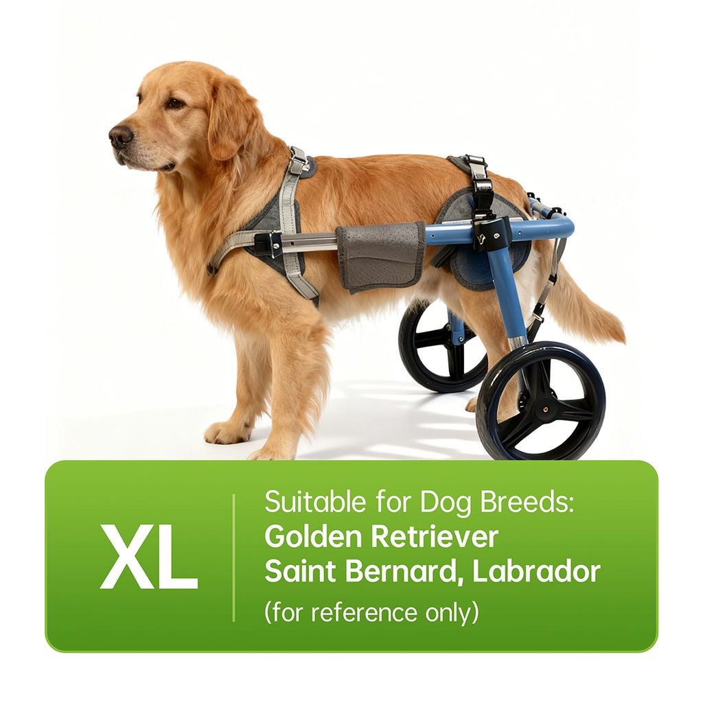 Large Foldable Dog Wheelchair for Rear & Full Body Support