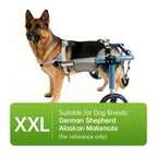 Large Foldable Dog Wheelchair for Rear & Full Body Support