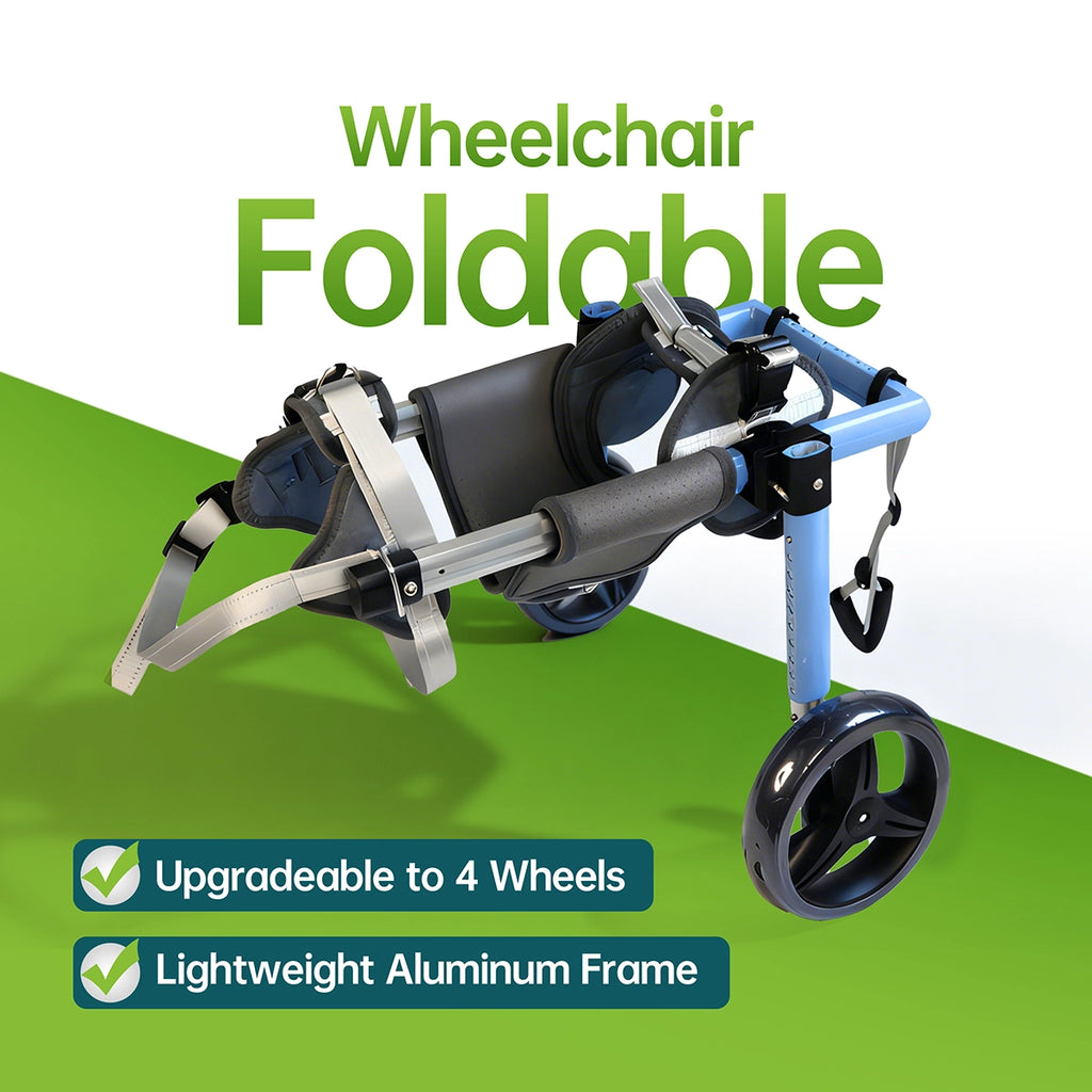 Large Foldable Dog Wheelchair for Rear & Full Body Support