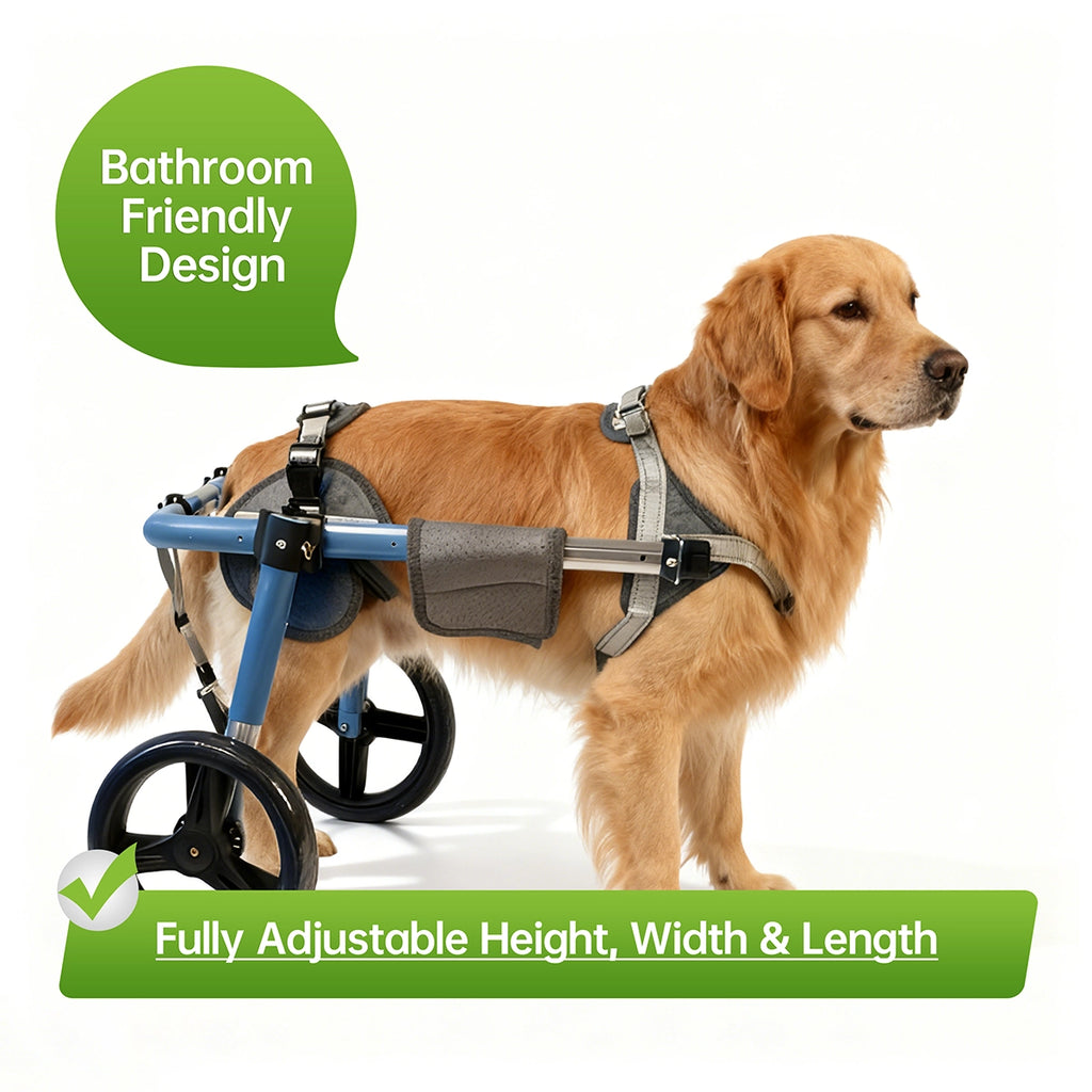 Large Foldable Dog Wheelchair for Rear & Full Body Support