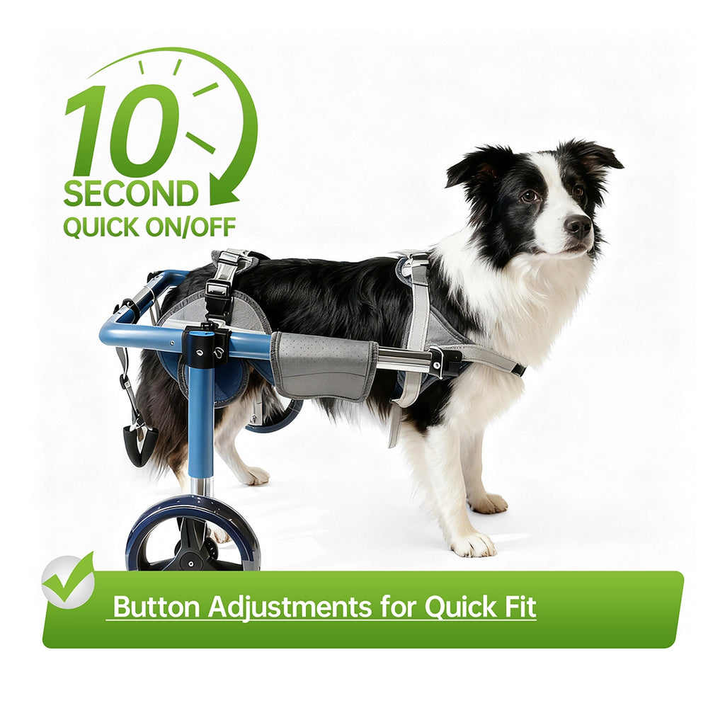Large Foldable Dog Wheelchair for Rear & Full Body Support