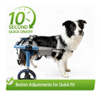 Large Foldable Dog Wheelchair for Rear & Full Body Support