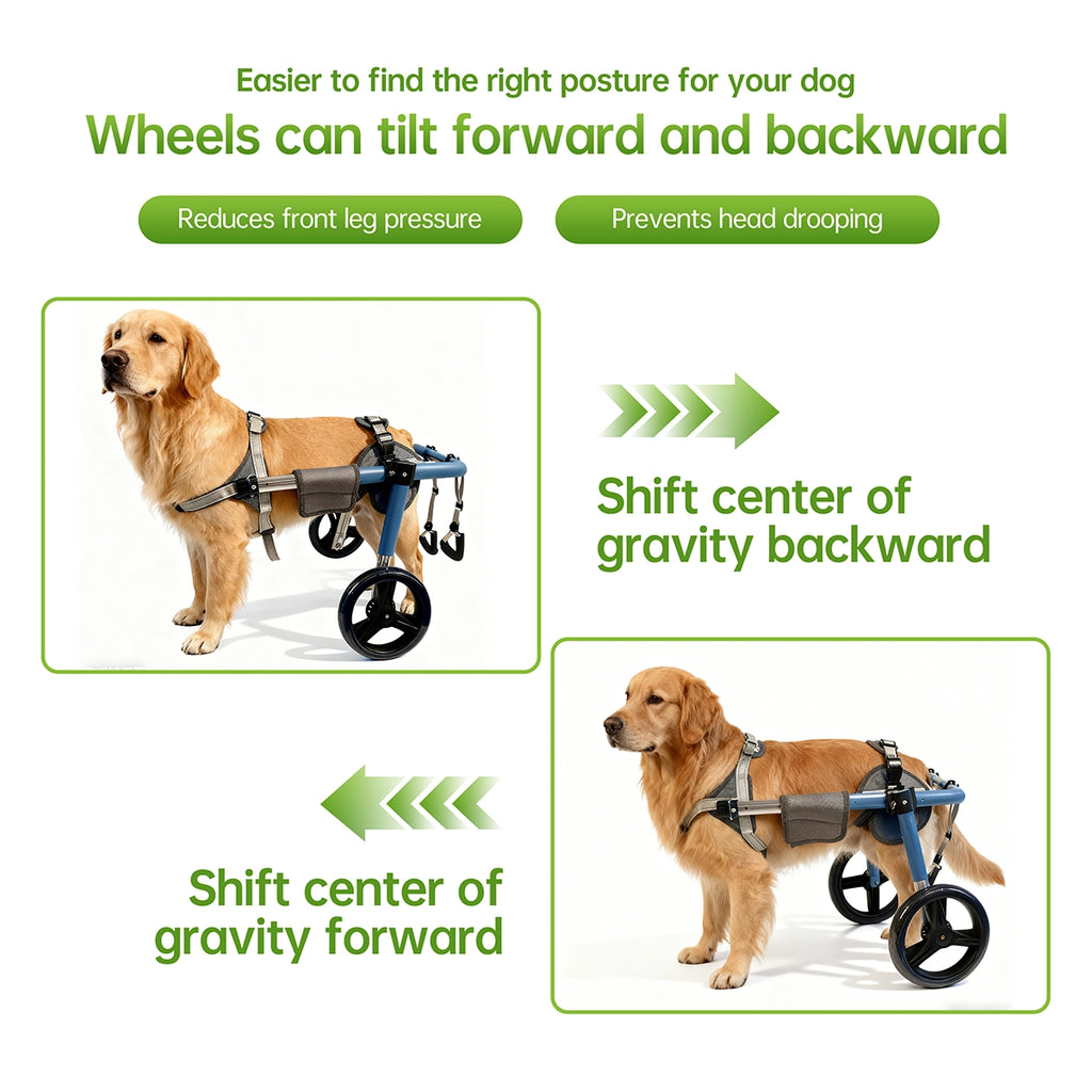 Large Foldable Dog Wheelchair for Rear & Full Body Support