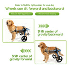 Large Foldable Dog Wheelchair for Rear & Full Body Support