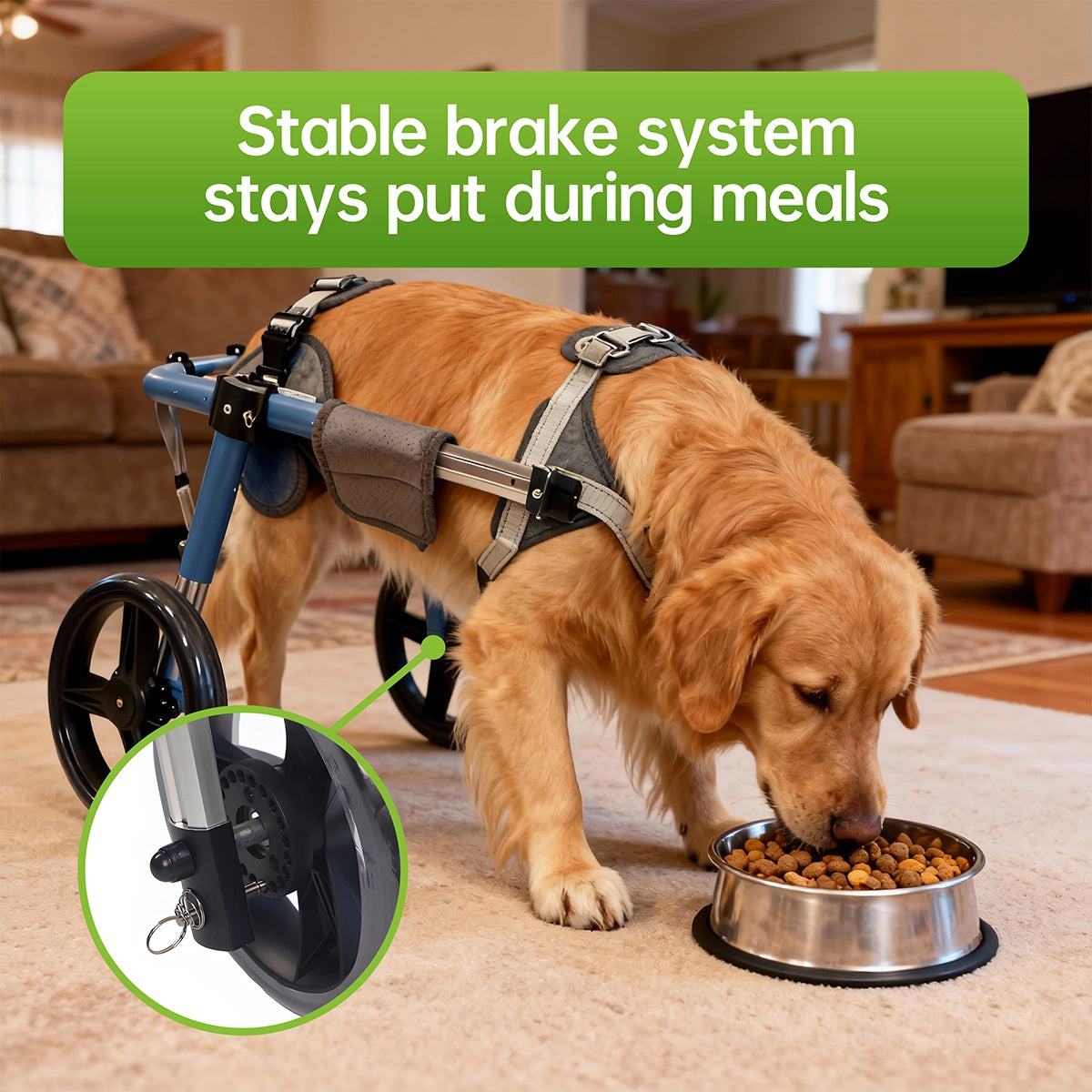 Large Foldable Dog Wheelchair for Rear & Full Body Support