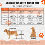 Pei's Corner size guide for hind leg dog wheelchair, featuring no more worries about size, with Extra Small to Large measurements for back height, hip width, body length, and pet weight, shown with a dog illustration