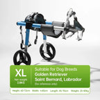 XL dog wheelchair, net weight 2.8KG, designed for dog breeds like Golden Retriever, Saint Bernard, and Labrador, featuring a blue and black frame, ideal for pet owners seeking robust and breed-specific mobility support. - Pei's Corner 