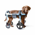 Dog Wheelchair Front Leg Attachment (Full Support)