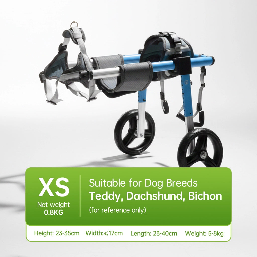 XS dachshund dog wheelchair, net weight 0.8KG, designed for small dog breeds like Teddy, Shih Tzu, and Bichon, featuring a blue and black frame, ideal for pet owners seeking lightweight and breed-specific mobility solutions. - pei's corner
