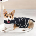 Dog Back Support Vest for Disc Disease & Spinal Injury - Protective Recovery Gear for IVDD, Pain Relief
