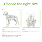Dog Wheelchair for Hind Leg Paralysis - Adjustable Rear & Full Body Support for Disabled, Elderly & Injured Dogs