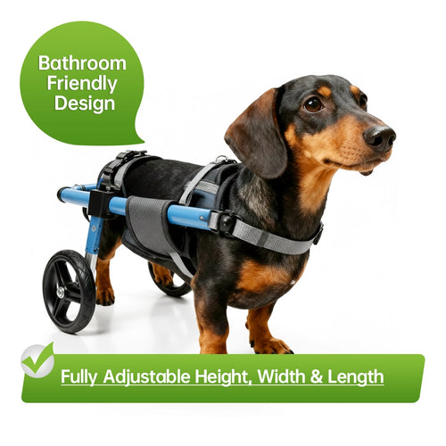 Fully adjustable dog wheelchair with bathroom-friendly design for dachshunds, adjustable in height, width, and length.