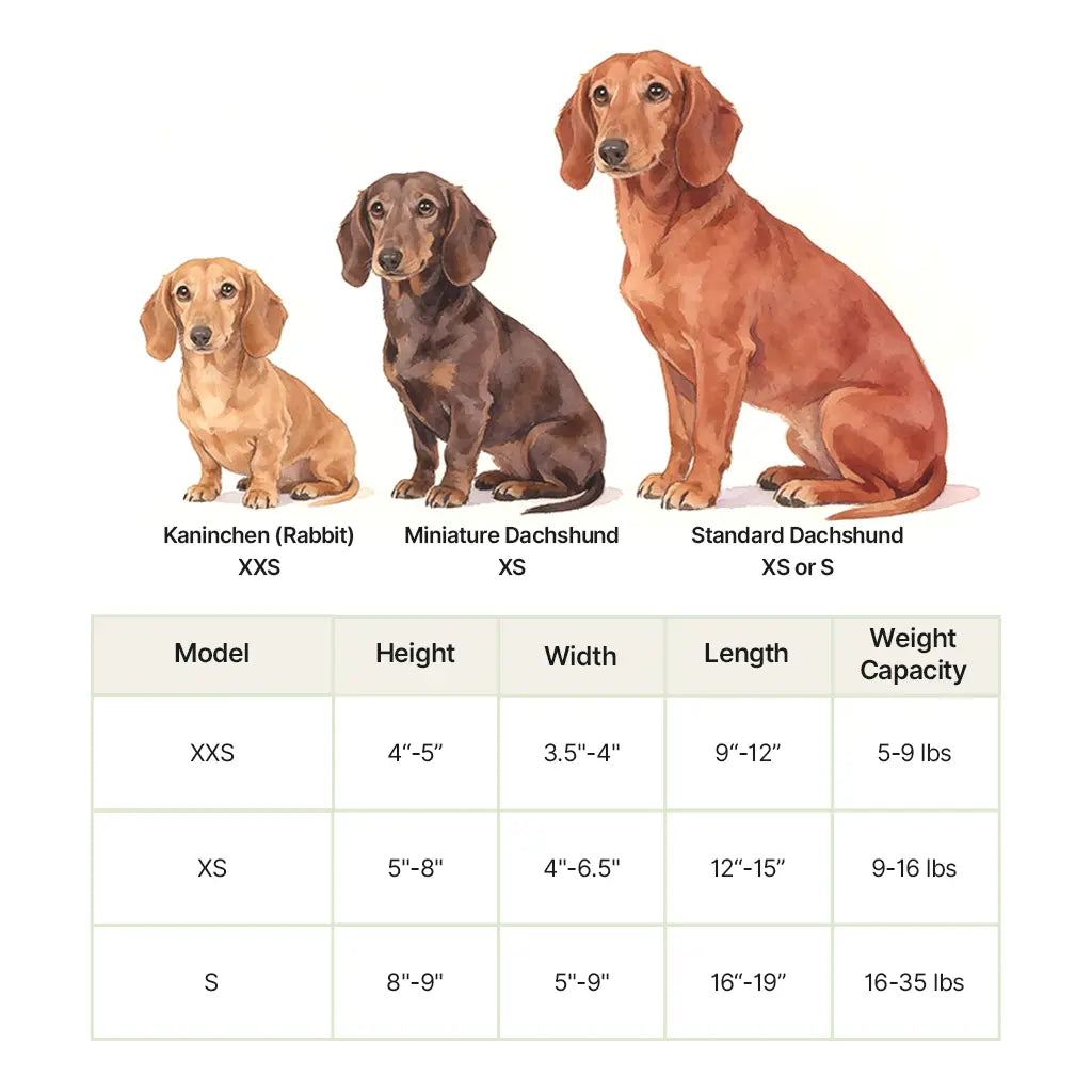 Dachshund wheelchair size guide showing three sizes — XXS for Kaninchen, XS for Miniature, and XS/S for Standard Dachshunds — with a measurement chart covering height, width, length, and weight capacity