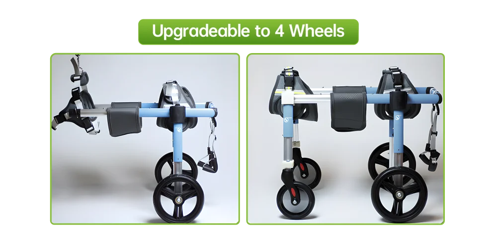 Two-panel diagram of a dog wheelchair showing the standard 2-wheel setup vs the upgraded 4-wheel configuration on a blue frame.
