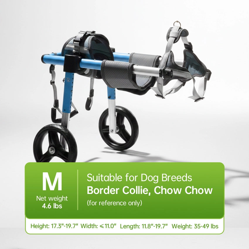 Medium size (M) adjustable dog wheelchair for Border Collies and Chow Chows, supporting 16-22kg.