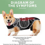 Dog Back Support Vest for Disc Disease & Spinal Injury - Protective Recovery Gear for IVDD, Pain Relief