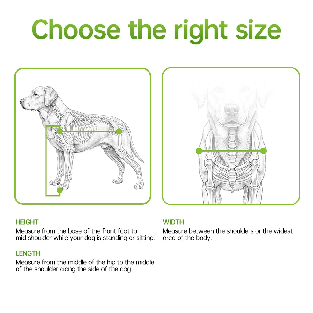 Diagram showing how to measure a dog's height, width, and length for a perfect wheelchair fit.