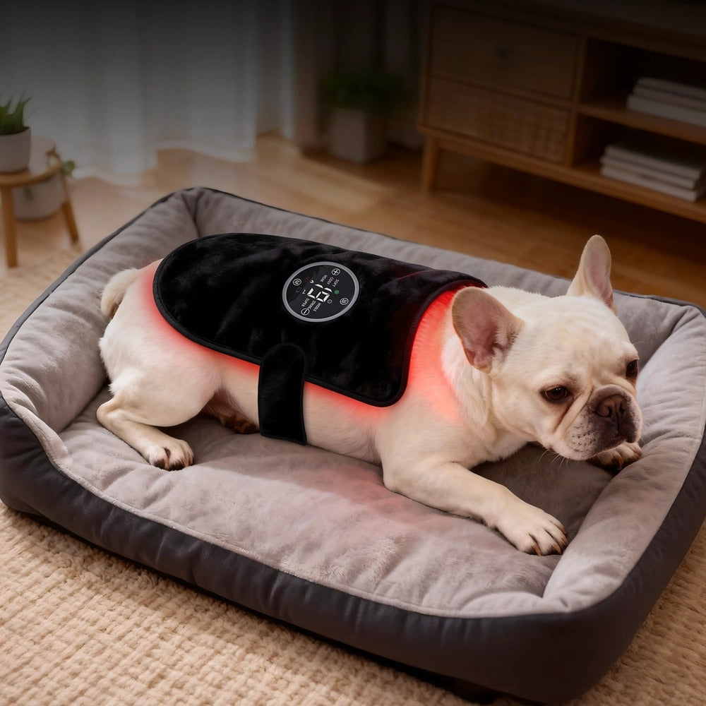 Magnetic Pet Red Light Device | Targeted Comfort & Relaxation
