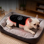 Magnetic Pet Red Light Device | Targeted Comfort & Relaxation
